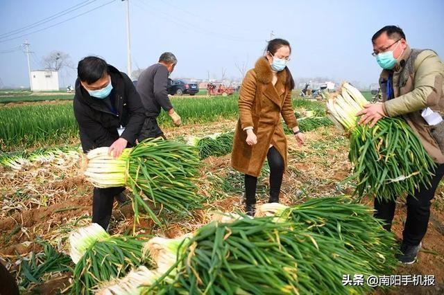 侯集镇交通建设进展，出行更便捷，交通日新月异的新动态