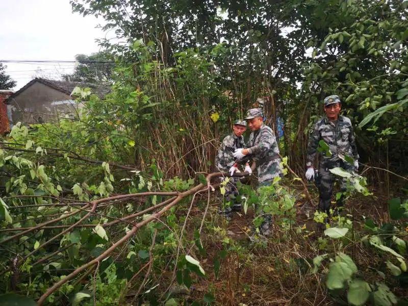 三山区应急管理局现代化应急管理体系构建项目启动