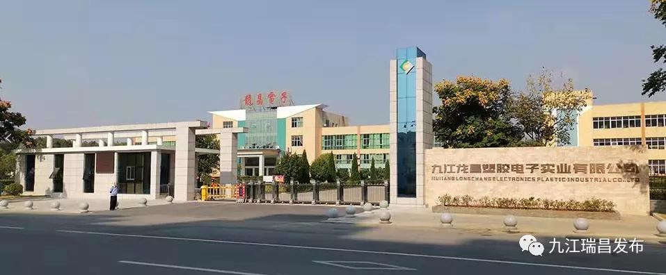 瑞昌市发展和改革局最新招聘启事概览