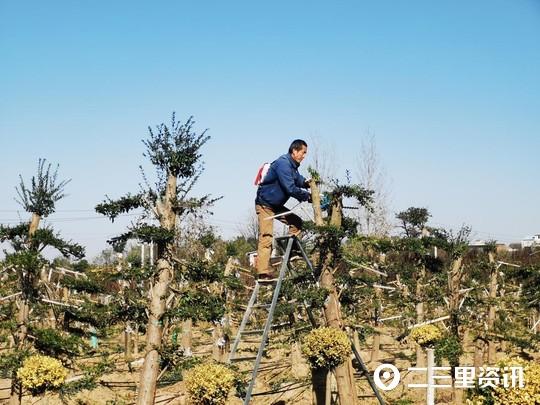 杂那村新项目启动，乡村振兴新篇章