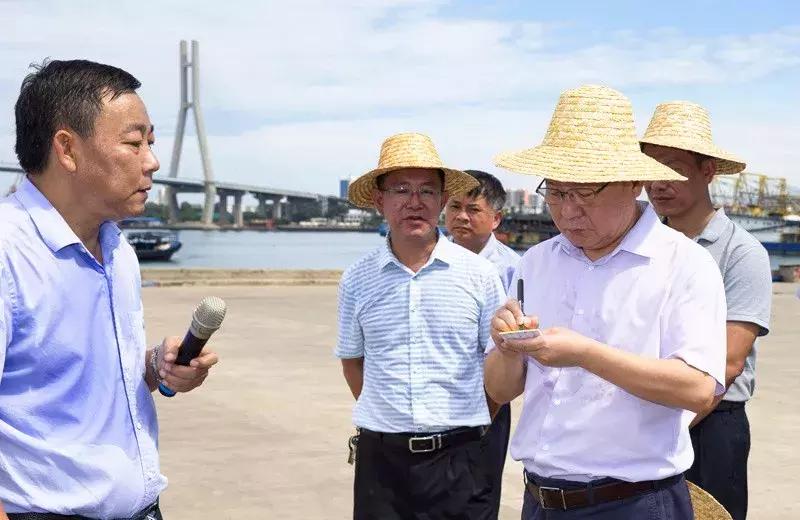 白马井镇未来繁荣新蓝图，最新发展规划揭秘