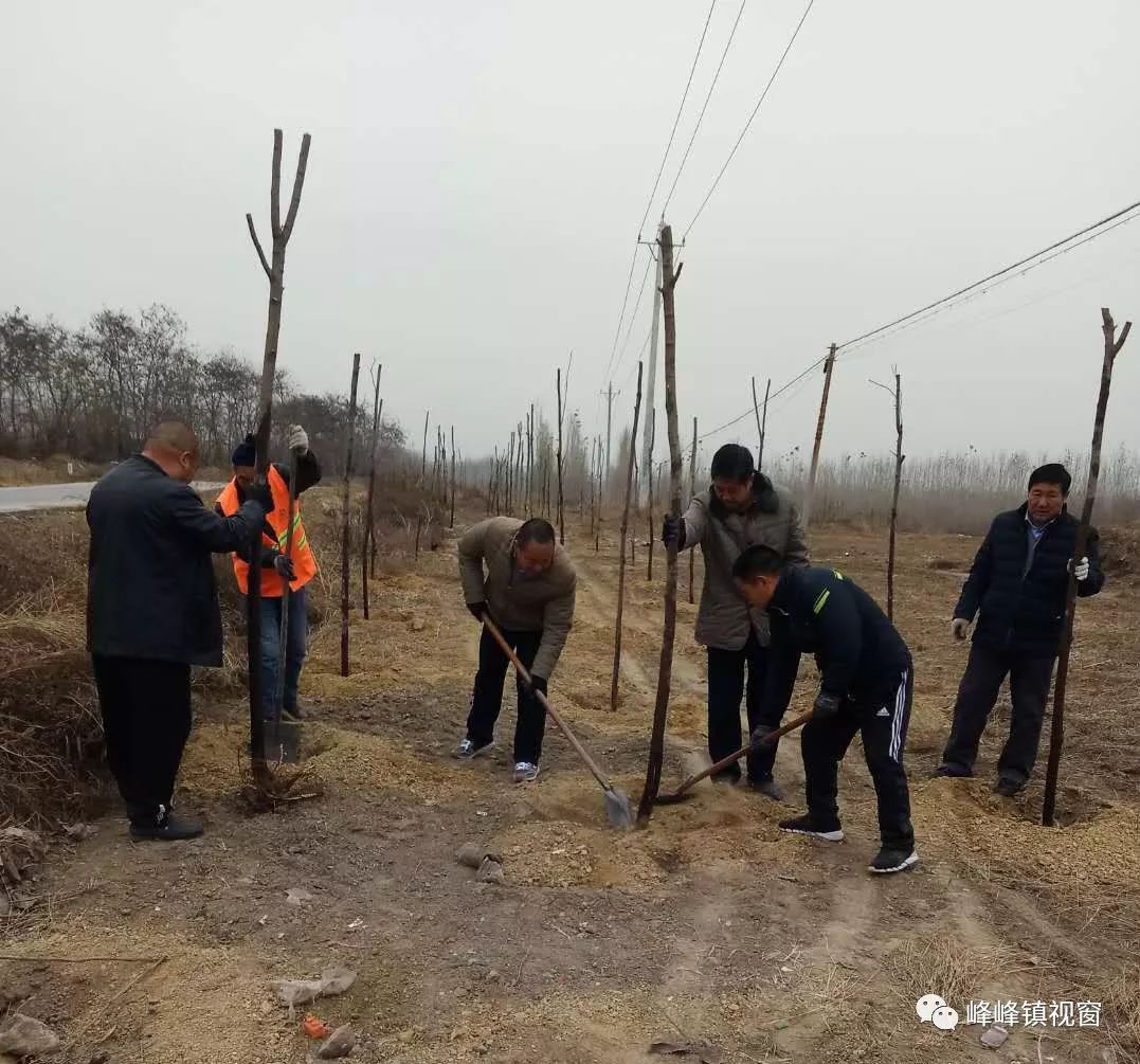 恰渠村最新新闻，乡村振兴与社区发展的崭新篇章