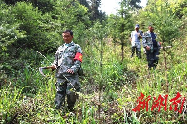 山林村民委员会最新招聘信息汇总