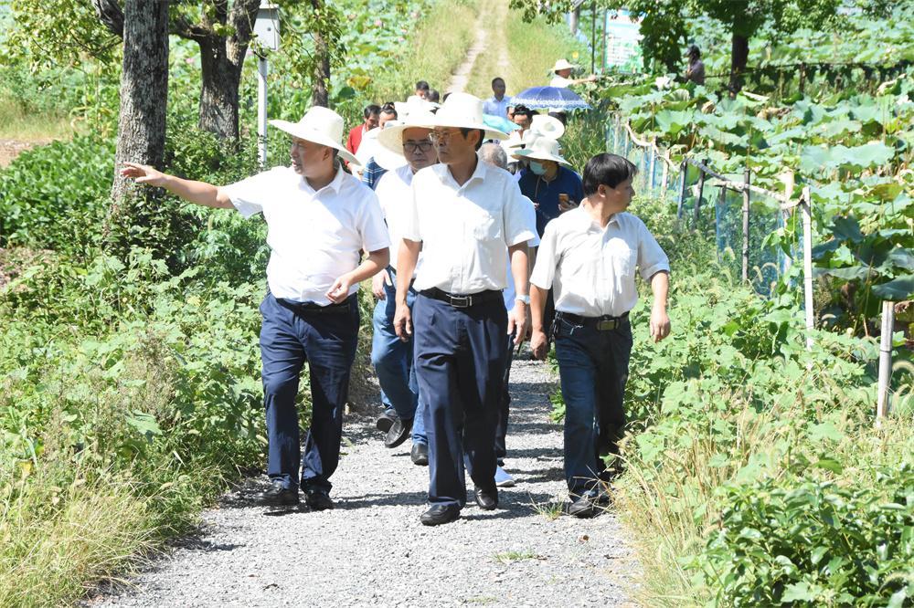 柳城畲族镇新项目引领民族振兴，开启新征程