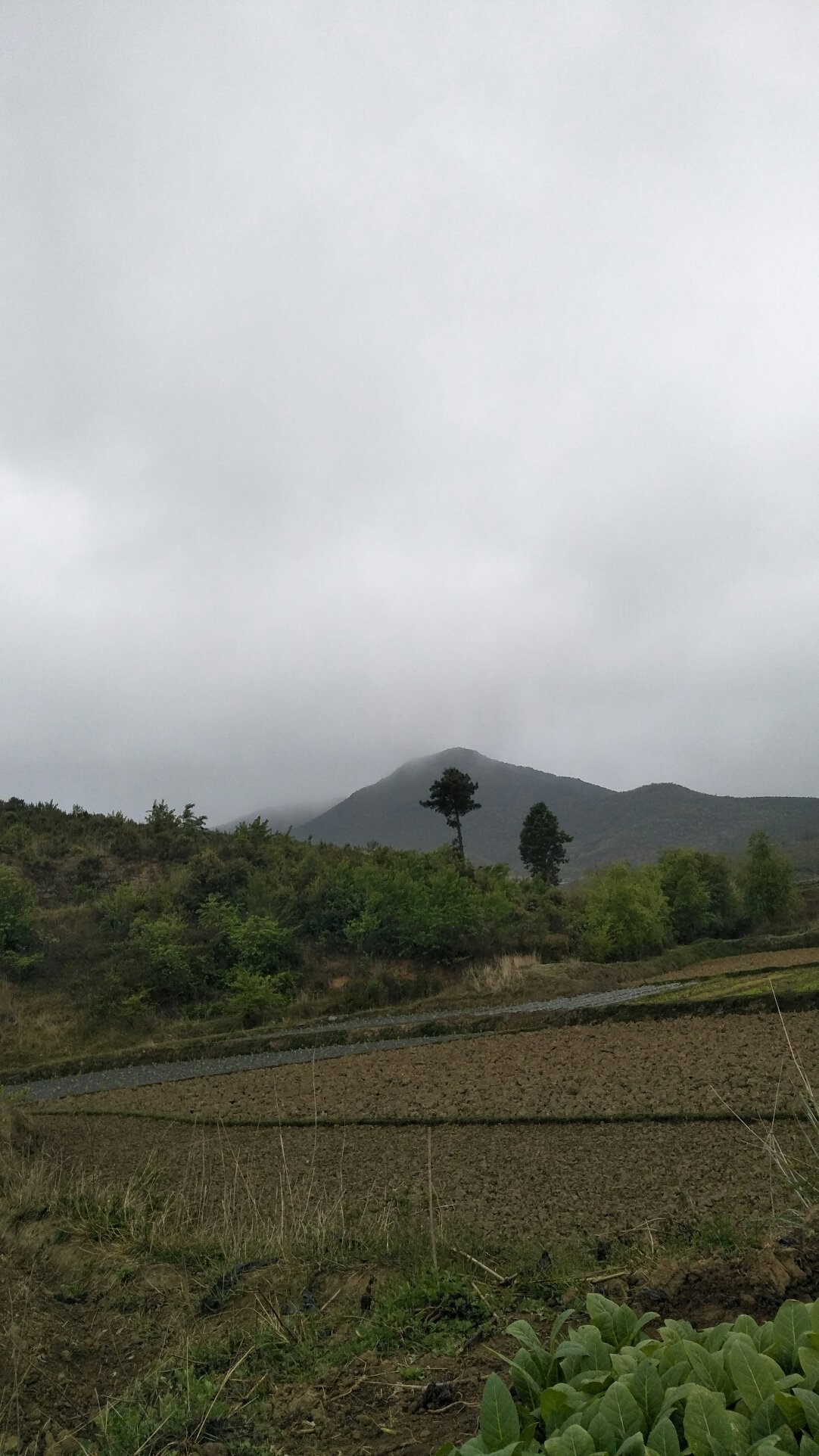 石槽集乡天气预报更新通知