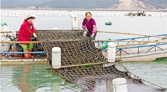 黄避岙乡天气预报更新